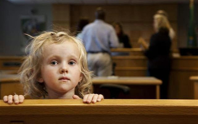 إثبات حضانة ونفقة نوعية